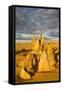 The Pinnacles Limestone Formations at Sunset Contained-Michael Runkel-Framed Stretched Canvas