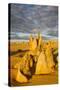 The Pinnacles Limestone Formations at Sunset Contained-Michael Runkel-Stretched Canvas