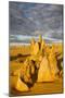 The Pinnacles Limestone Formations at Sunset Contained-Michael Runkel-Mounted Photographic Print