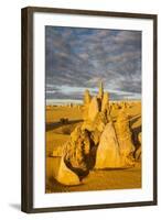 The Pinnacles Limestone Formations at Sunset Contained-Michael Runkel-Framed Photographic Print