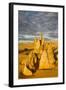 The Pinnacles Limestone Formations at Sunset Contained-Michael Runkel-Framed Photographic Print