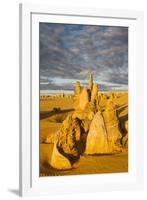The Pinnacles Limestone Formations at Sunset Contained-Michael Runkel-Framed Photographic Print