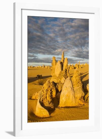 The Pinnacles Limestone Formations at Sunset Contained-Michael Runkel-Framed Photographic Print