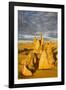 The Pinnacles Limestone Formations at Sunset Contained-Michael Runkel-Framed Photographic Print