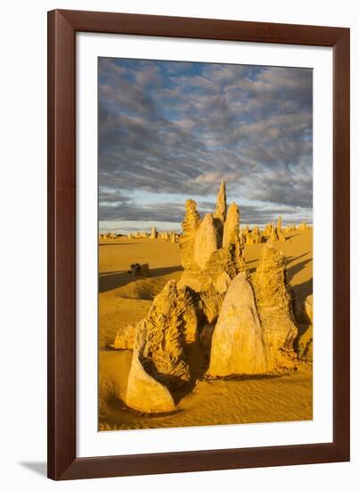 The Pinnacles Limestone Formations at Sunset Contained-Michael Runkel-Framed Photographic Print