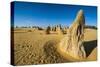 The Pinnacles Limestone Formations at Sunset Contained-Michael Runkel-Stretched Canvas