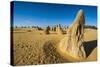 The Pinnacles Limestone Formations at Sunset Contained-Michael Runkel-Stretched Canvas