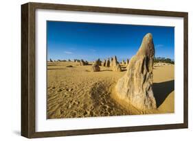 The Pinnacles Limestone Formations at Sunset Contained-Michael Runkel-Framed Photographic Print