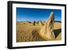 The Pinnacles Limestone Formations at Sunset Contained-Michael Runkel-Framed Photographic Print