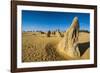 The Pinnacles Limestone Formations at Sunset Contained-Michael Runkel-Framed Photographic Print