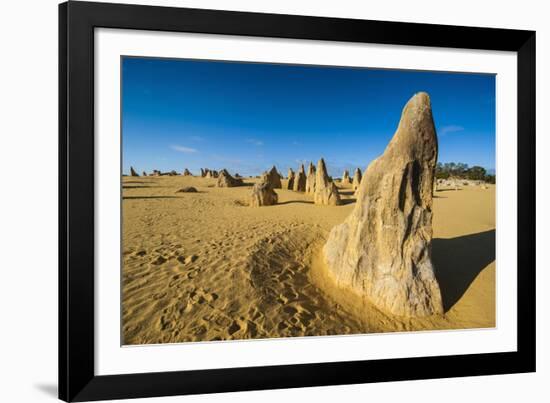 The Pinnacles Limestone Formations at Sunset Contained-Michael Runkel-Framed Photographic Print