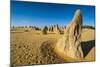 The Pinnacles Limestone Formations at Sunset Contained-Michael Runkel-Mounted Photographic Print