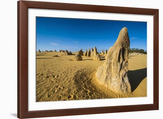 The Pinnacles Limestone Formations at Sunset Contained-Michael Runkel-Framed Photographic Print