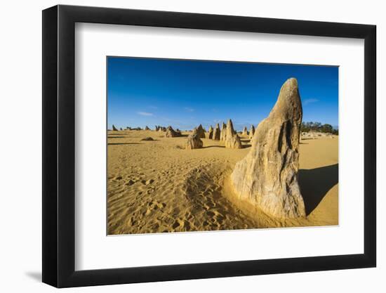 The Pinnacles Limestone Formations at Sunset Contained-Michael Runkel-Framed Photographic Print