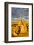 The Pinnacles Limestone Formations at Sunset Contained-Michael Runkel-Framed Photographic Print