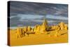 The Pinnacles Limestone Formations at Sunset in Nambung National Park-Michael Runkel-Stretched Canvas