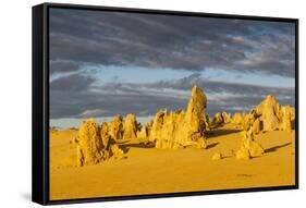 The Pinnacles Limestone Formations at Sunset in Nambung National Park-Michael Runkel-Framed Stretched Canvas