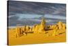 The Pinnacles Limestone Formations at Sunset in Nambung National Park-Michael Runkel-Stretched Canvas