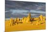 The Pinnacles Limestone Formations at Sunset in Nambung National Park-Michael Runkel-Mounted Photographic Print