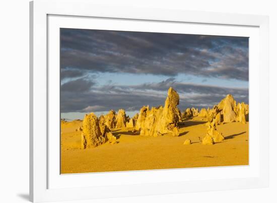 The Pinnacles Limestone Formations at Sunset in Nambung National Park-Michael Runkel-Framed Photographic Print