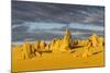 The Pinnacles Limestone Formations at Sunset in Nambung National Park-Michael Runkel-Mounted Photographic Print