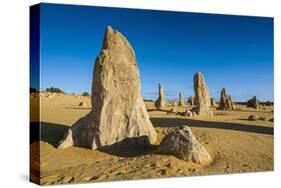 The Pinnacles Limestone Formations at Sunset in Nambung National Park-Michael Runkel-Stretched Canvas