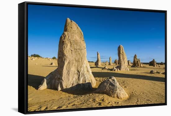 The Pinnacles Limestone Formations at Sunset in Nambung National Park-Michael Runkel-Framed Stretched Canvas