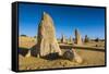 The Pinnacles Limestone Formations at Sunset in Nambung National Park-Michael Runkel-Framed Stretched Canvas