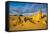 The Pinnacles Limestone Formations at Sunset in Nambung National Park-Michael Runkel-Framed Stretched Canvas