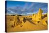 The Pinnacles Limestone Formations at Sunset in Nambung National Park-Michael Runkel-Stretched Canvas