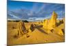 The Pinnacles Limestone Formations at Sunset in Nambung National Park-Michael Runkel-Mounted Photographic Print