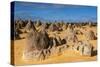 The Pinnacles Limestone Formations at Sunset in Nambung National Park-Michael Runkel-Stretched Canvas