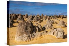 The Pinnacles Limestone Formations at Sunset in Nambung National Park-Michael Runkel-Stretched Canvas