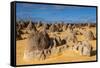 The Pinnacles Limestone Formations at Sunset in Nambung National Park-Michael Runkel-Framed Stretched Canvas