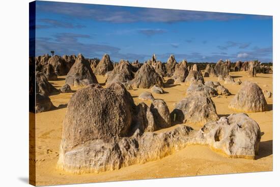 The Pinnacles Limestone Formations at Sunset in Nambung National Park-Michael Runkel-Stretched Canvas