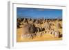 The Pinnacles Limestone Formations at Sunset in Nambung National Park-Michael Runkel-Framed Photographic Print