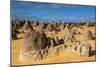 The Pinnacles Limestone Formations at Sunset in Nambung National Park-Michael Runkel-Mounted Photographic Print