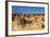 The Pinnacles Limestone Formations at Sunset in Nambung National Park-Michael Runkel-Framed Photographic Print