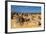 The Pinnacles Limestone Formations at Sunset in Nambung National Park-Michael Runkel-Framed Photographic Print