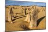 The Pinnacles Limestone Formations at Sunset in Nambung National Park-Michael Runkel-Mounted Premium Photographic Print