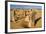 The Pinnacles Limestone Formations at Sunset in Nambung National Park-Michael Runkel-Framed Photographic Print