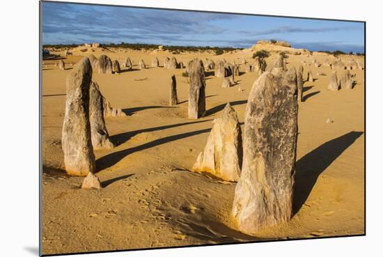 The Pinnacles Limestone Formations at Sunset in Nambung National Park-Michael Runkel-Mounted Photographic Print