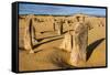 The Pinnacles Limestone Formations at Sunset in Nambung National Park-Michael Runkel-Framed Stretched Canvas