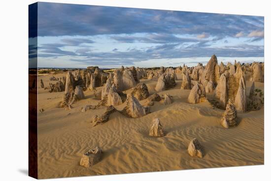 The Pinnacles Limestone Formations at Sunset in Nambung National Park-Michael Runkel-Stretched Canvas