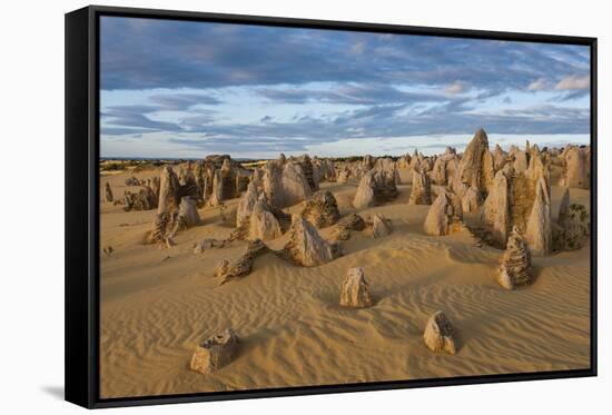 The Pinnacles Limestone Formations at Sunset in Nambung National Park-Michael Runkel-Framed Stretched Canvas