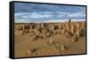 The Pinnacles Limestone Formations at Sunset in Nambung National Park-Michael Runkel-Framed Stretched Canvas