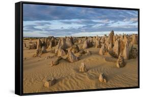 The Pinnacles Limestone Formations at Sunset in Nambung National Park-Michael Runkel-Framed Stretched Canvas