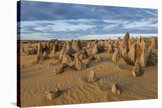 The Pinnacles Limestone Formations at Sunset in Nambung National Park-Michael Runkel-Stretched Canvas