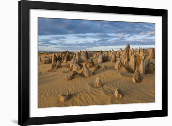 The Pinnacles Limestone Formations at Sunset in Nambung National Park-Michael Runkel-Framed Photographic Print