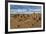 The Pinnacles Limestone Formations at Sunset in Nambung National Park-Michael Runkel-Framed Photographic Print